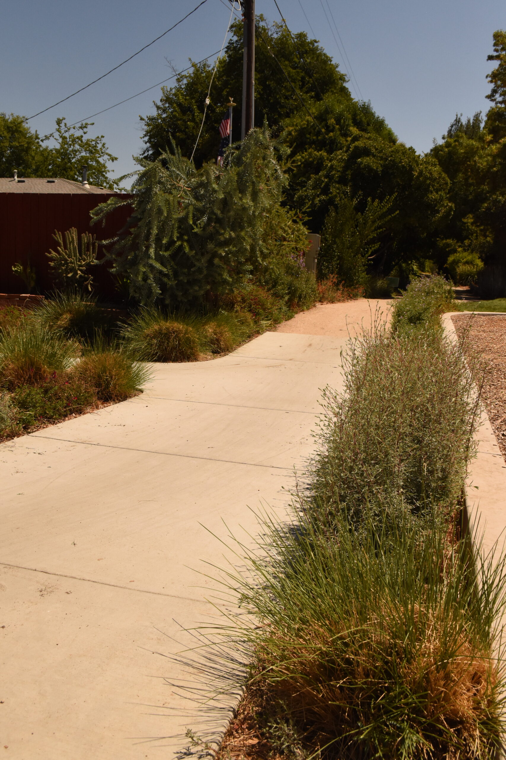 Pathway at N Street Park after renovation.