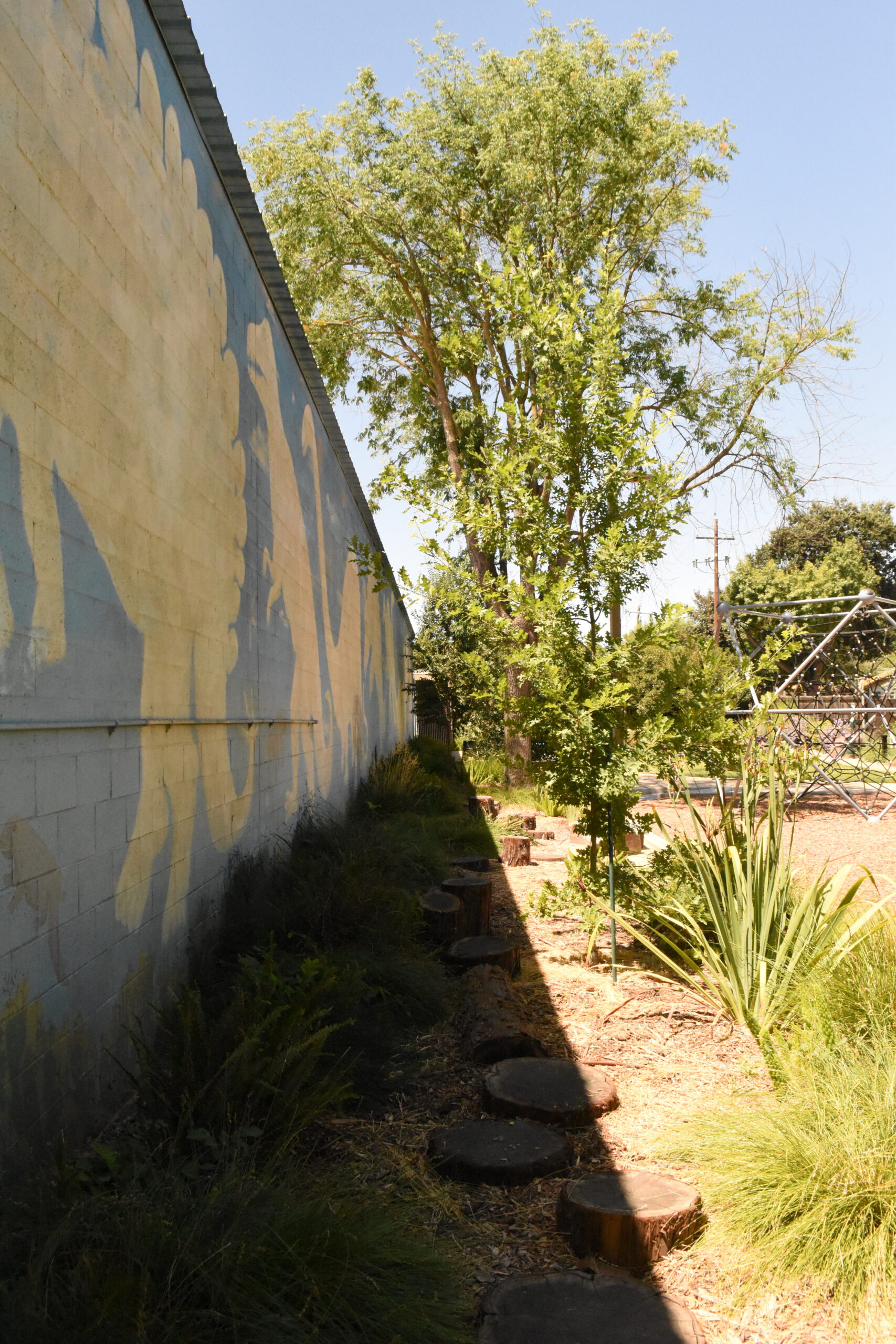 N Street Park after renovation.