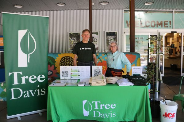 Board members table at the Davis Food Co-Op.