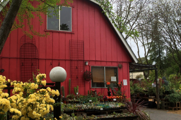 Redwood Barn Nursery