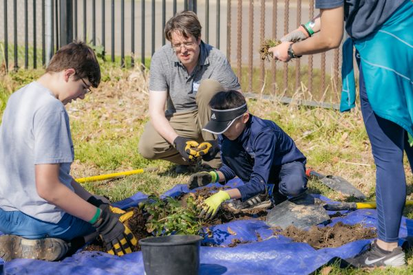 Volunteers sift through soil at planting event.