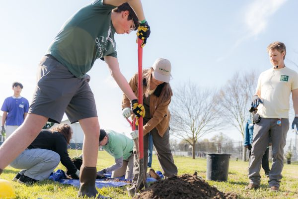 Volunteers dig a hole at a planting event.