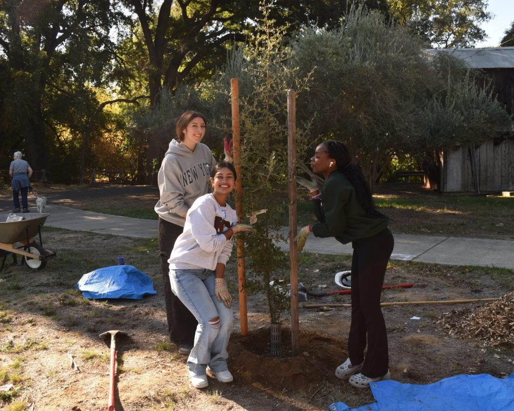 Three volunteers pose with a newly planted tree.