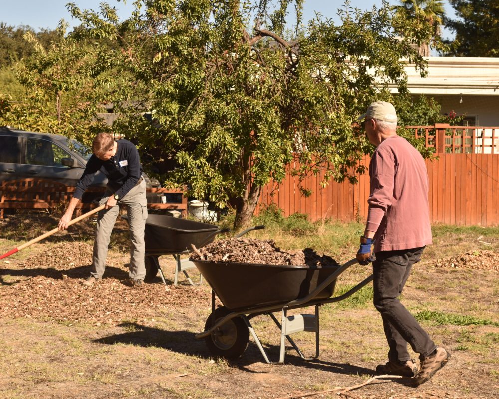 Volunteers spread mulch.