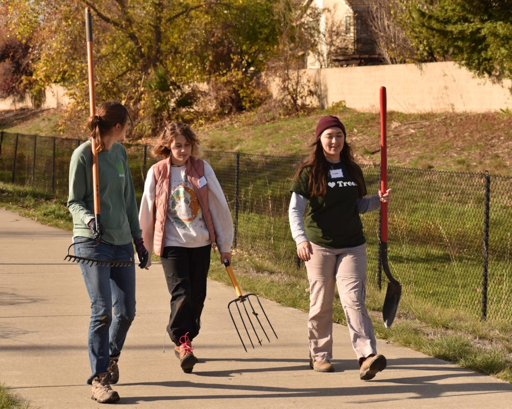 Staff and volunteers walk and move planting tools along bike path.