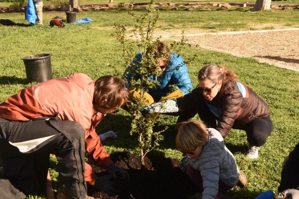 Volunteers gather soil at the base of a tree that has just been planted.