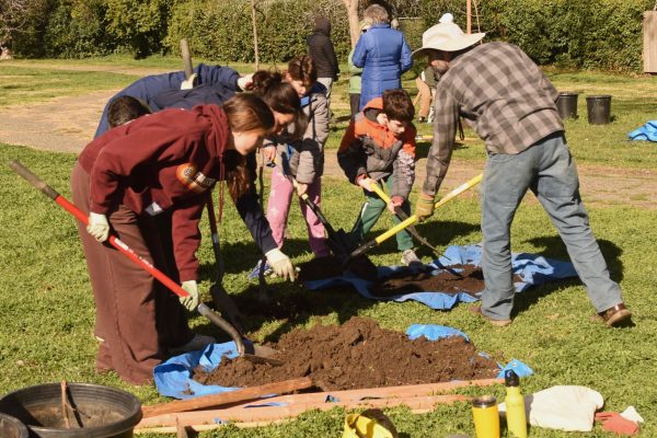 Group of volunteers dig hole to plant tree.