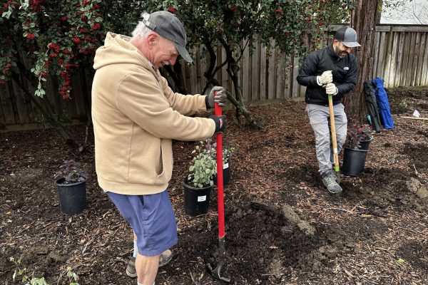 A board member and volunteer laugh as they dig.