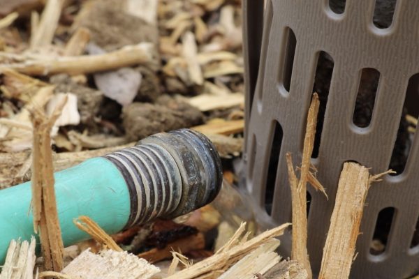A hose with water coming out of it next to the base of a tree with mulch around it.