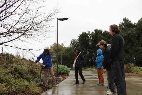Staff showing a group of volunteers about different pruning cuts.