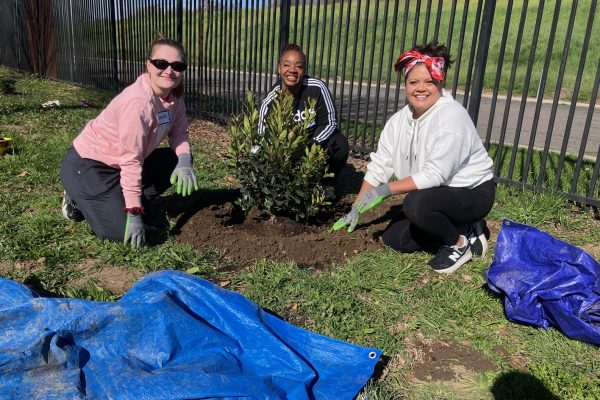 Three volunteers smile and pose with newly planted shrub.
