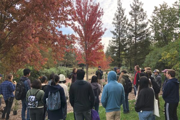 Volunteers gather before a planting event.