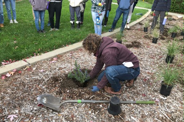 A board member demonstrates how to plant to volunteers.