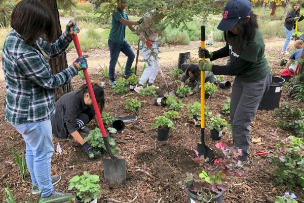 Several volunteers dig a hole.