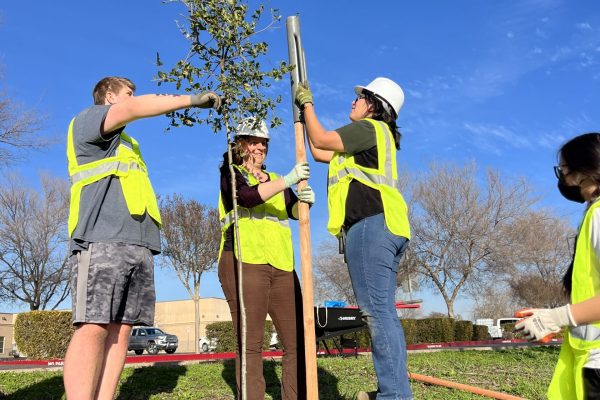 Group of volunteers in high visibility vests pole pound wooden support stakes into ground.