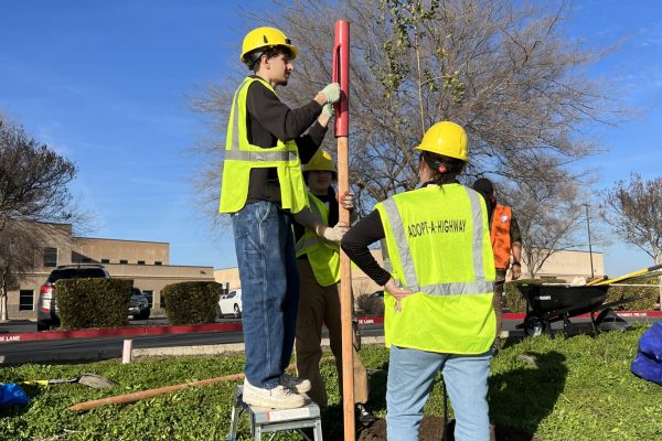 Two volunteers in high visibility vests pole pound wooden support stakes into ground.