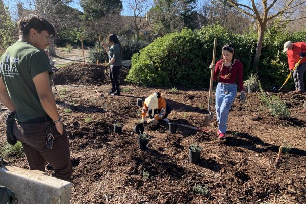 Volunteer holds a shovel getting ready to plant.