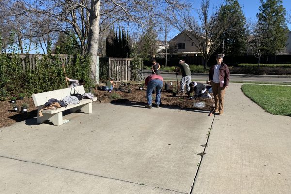Volunteers begin planting in the URC Grove.
