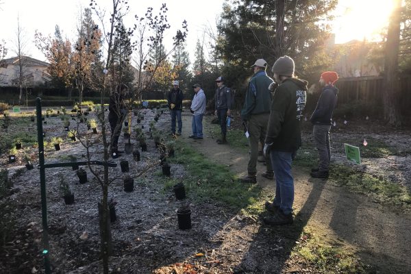 Several volunteers gather in the Generations Grove.