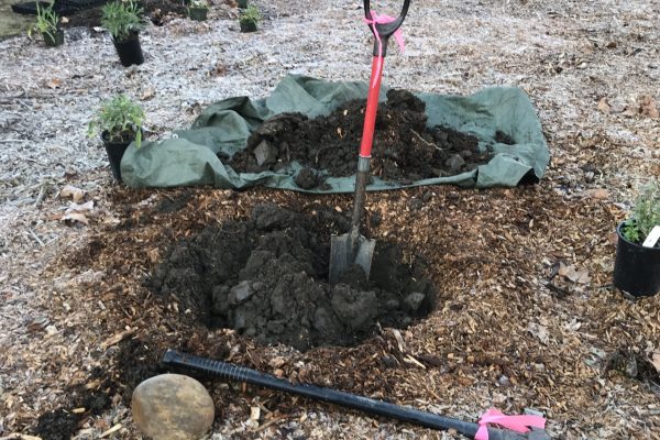 A shovel in a large hole.