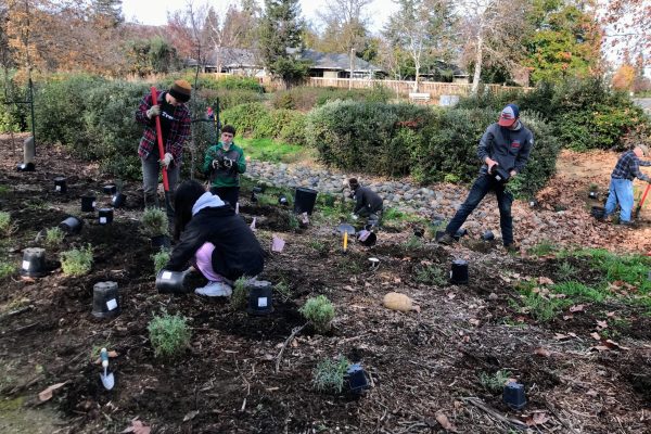 Volunteers begin planting in the Generations Grove.
