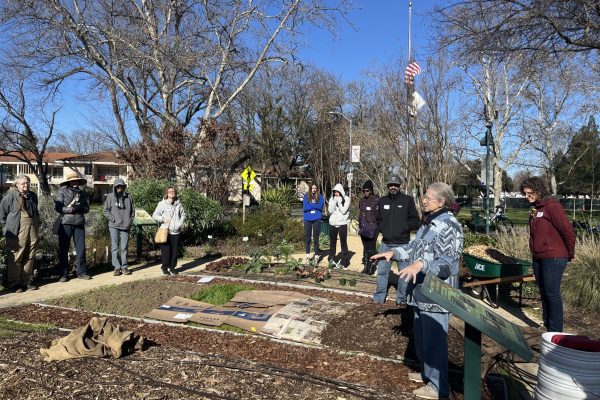 Green Volunteer Trainees stand and learn more about Central Park Gardens.