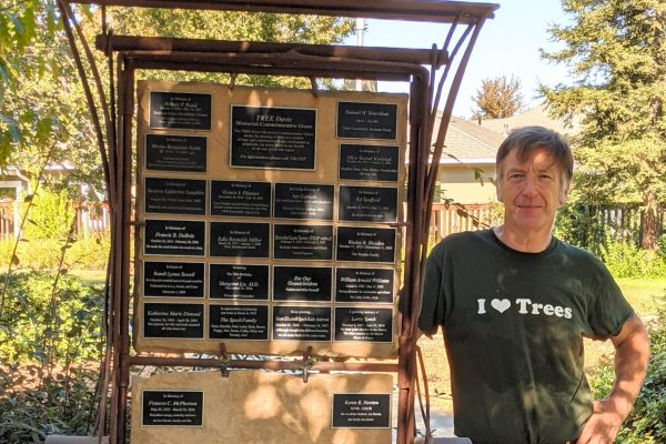 Board member poses next to Memorial Grove sculpture.