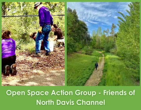 Stewardship-Award-Friends-of-North-Davis-Channel- Stewardship-Award-Friends-of-North-Davis-Channel-