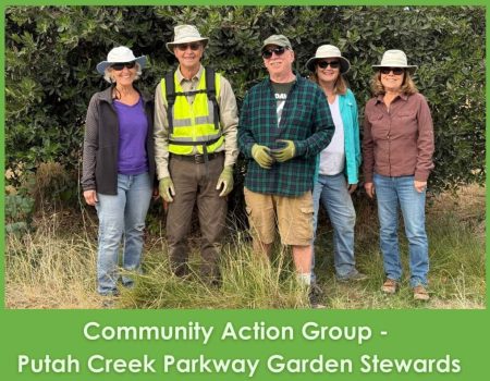 Stewardship-Award-Putah-Creek-Parkway-Garden-Stewards-5.5-x-4.25-in-1024×791 Stewardship-Award-Putah-Creek-Parkway-Garden-Stewards-5.5-x-4.25-in-1024x791